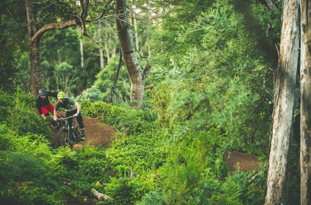 Vertigo blue derby mtb shuttles gen 4